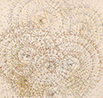 POUR UN VOL DE CIGOGNES, Monchique,crayons de couleurs sur papier, 30*28,5 cm, 2010
