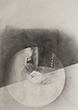 A la loupe II, graphite sur papier, 58x42cm, 2016