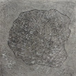 PARTICULES A, fusain, acrylique et couture sur papier, 43*43,2 cm, 2012