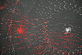 Marie Lepetit, Scrivo In Vento, Exposition, 2008, carré noir du safran, Amiens