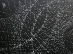 Marie Lepetit, Le retour des Lucioles, 300*330cm, été 2010